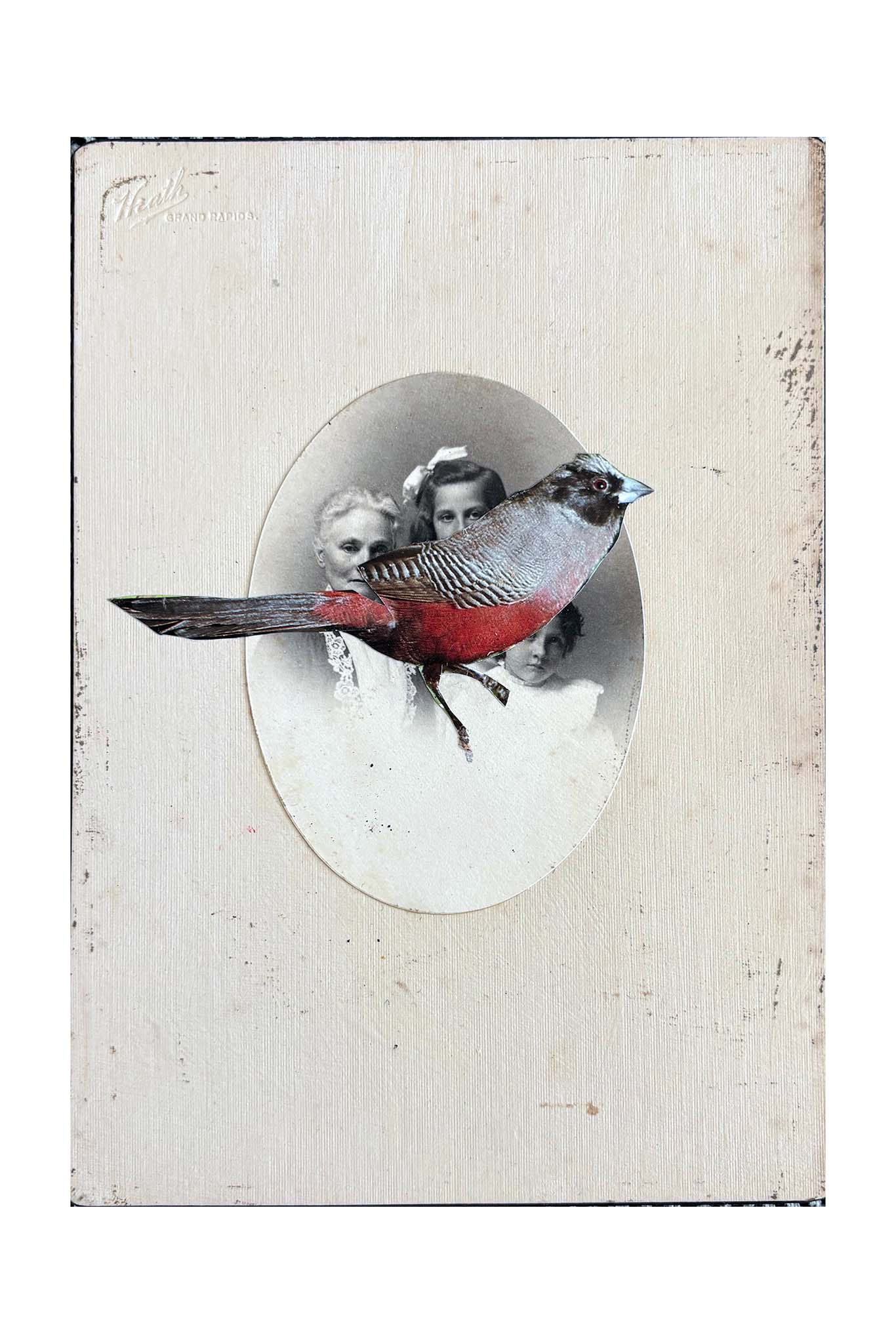 Decorative panel with a bird illustration and vintage-style portrait on a textured beige background