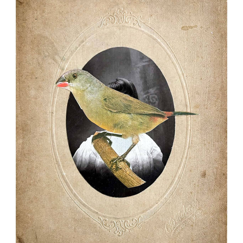 Vintage-style illustration of a bird on a branch with a decorative border on a textured beige background.