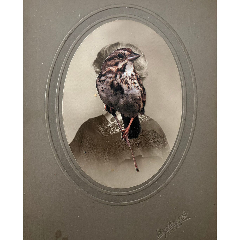 Vintage-style portrait of a bird with a decorative background