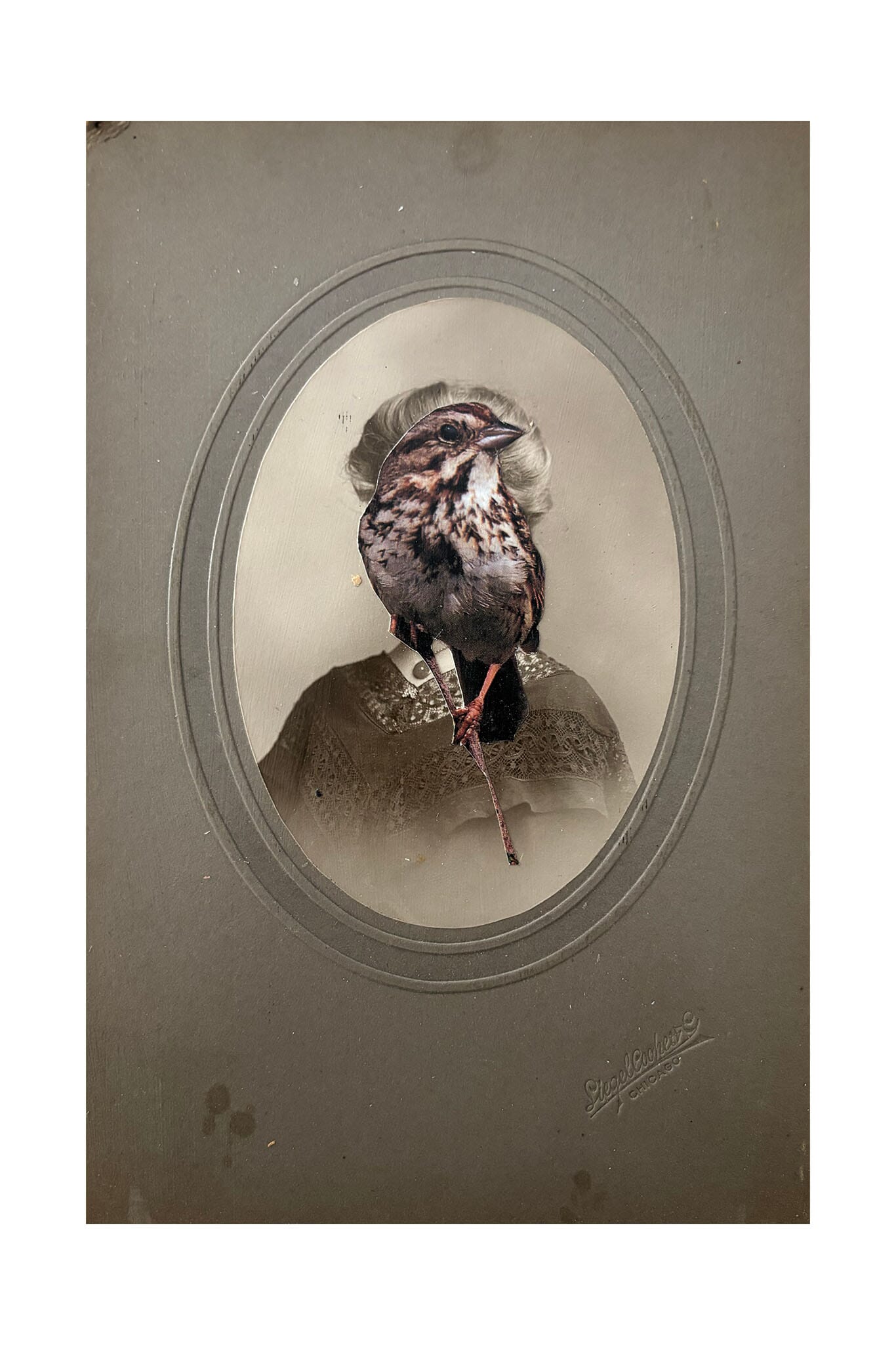 Vintage-style portrait of a bird with a decorative background