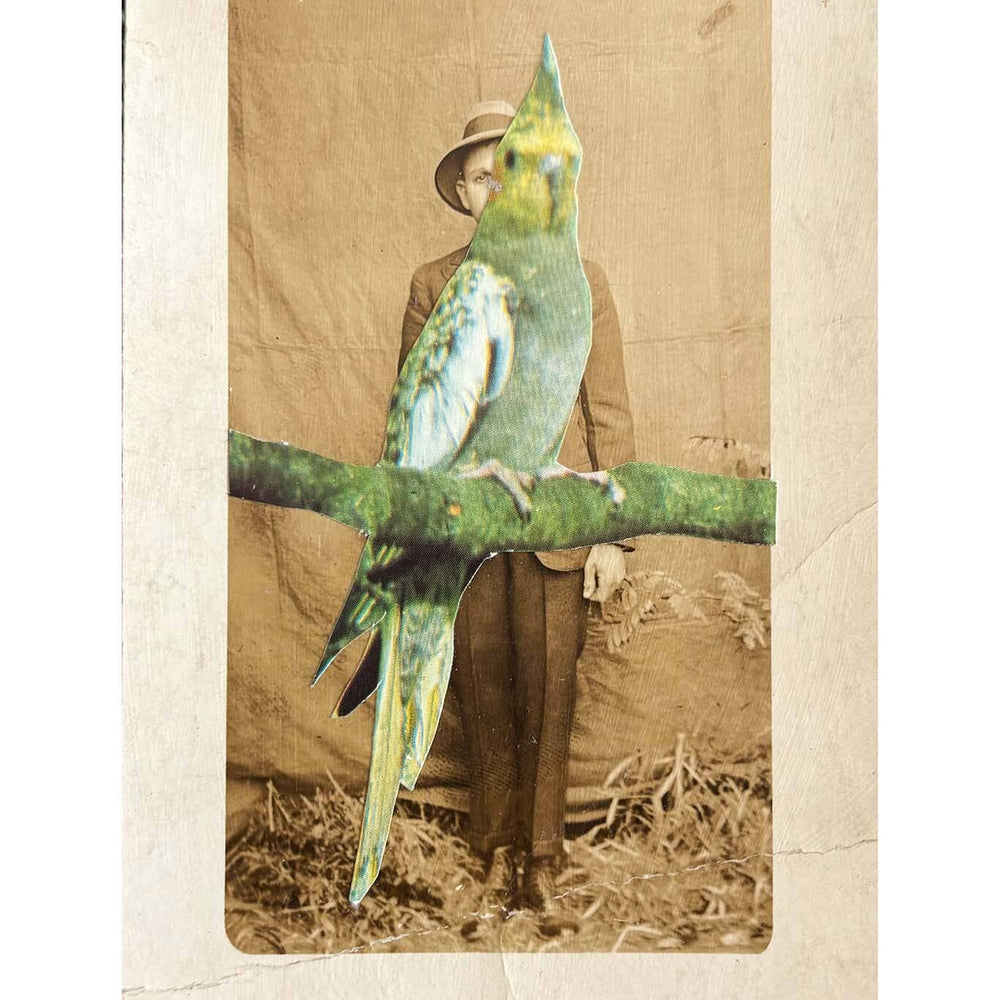 Vintage-style photo with a person and a parrot on a branch
