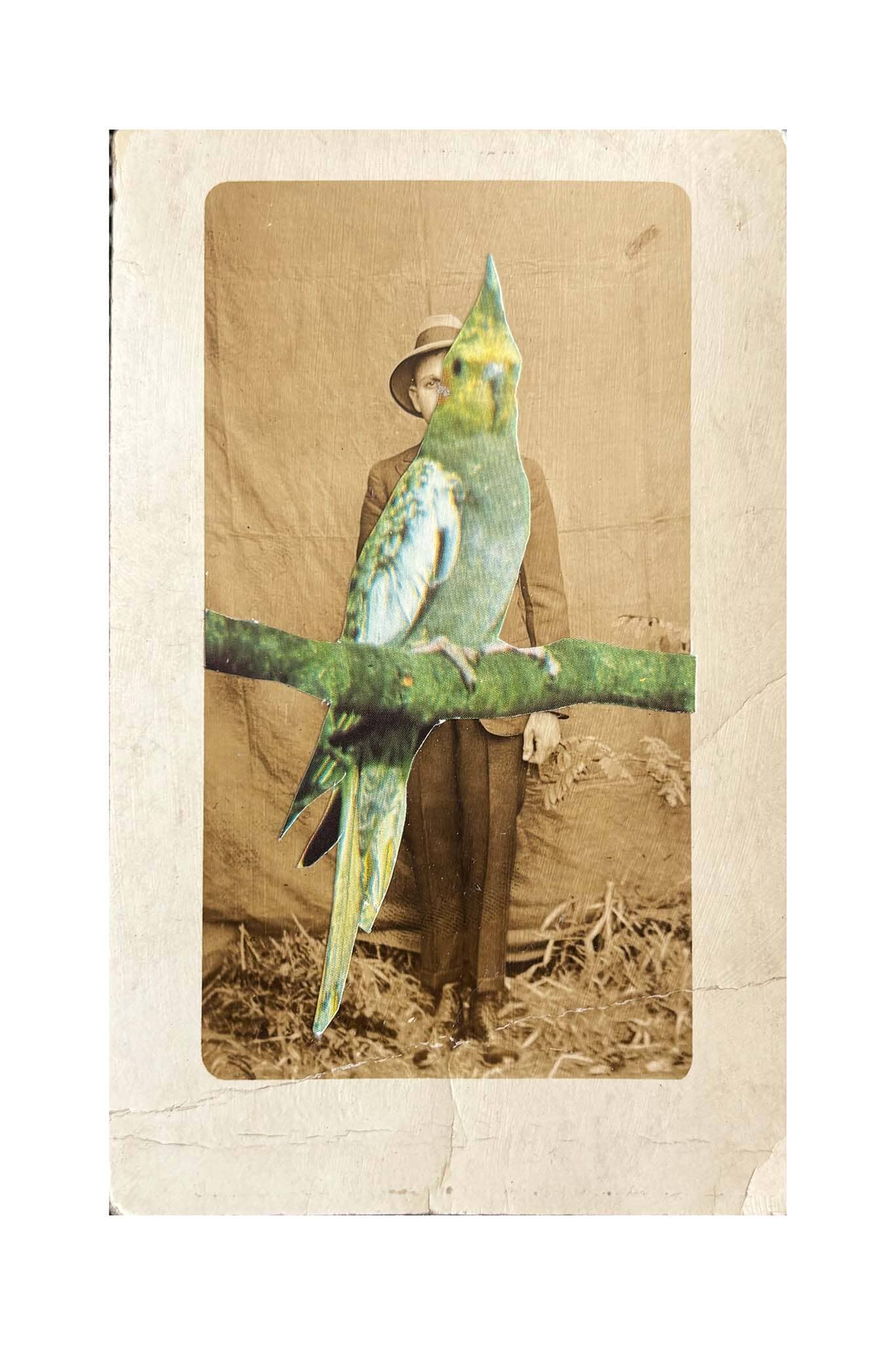 Vintage-style photo with a person and a parrot on a branch