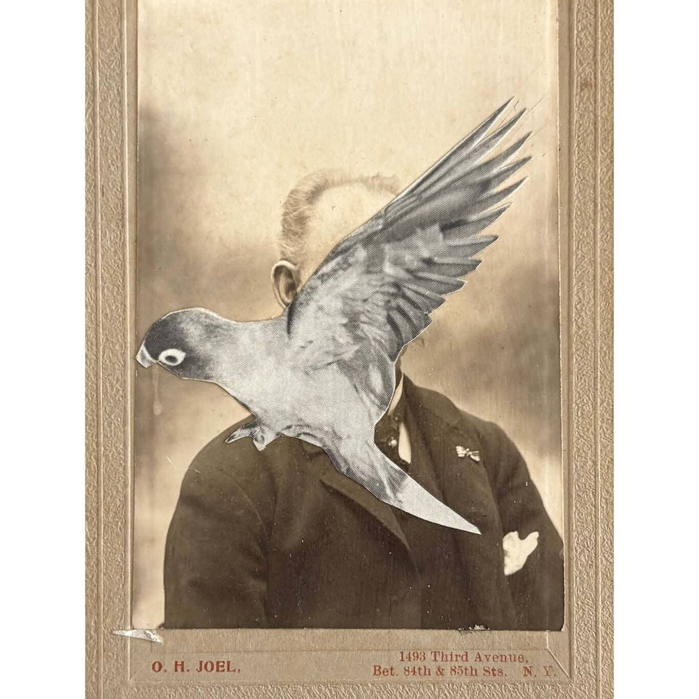 Vintage-style photo of a bird on a shoulder with a sepia tone