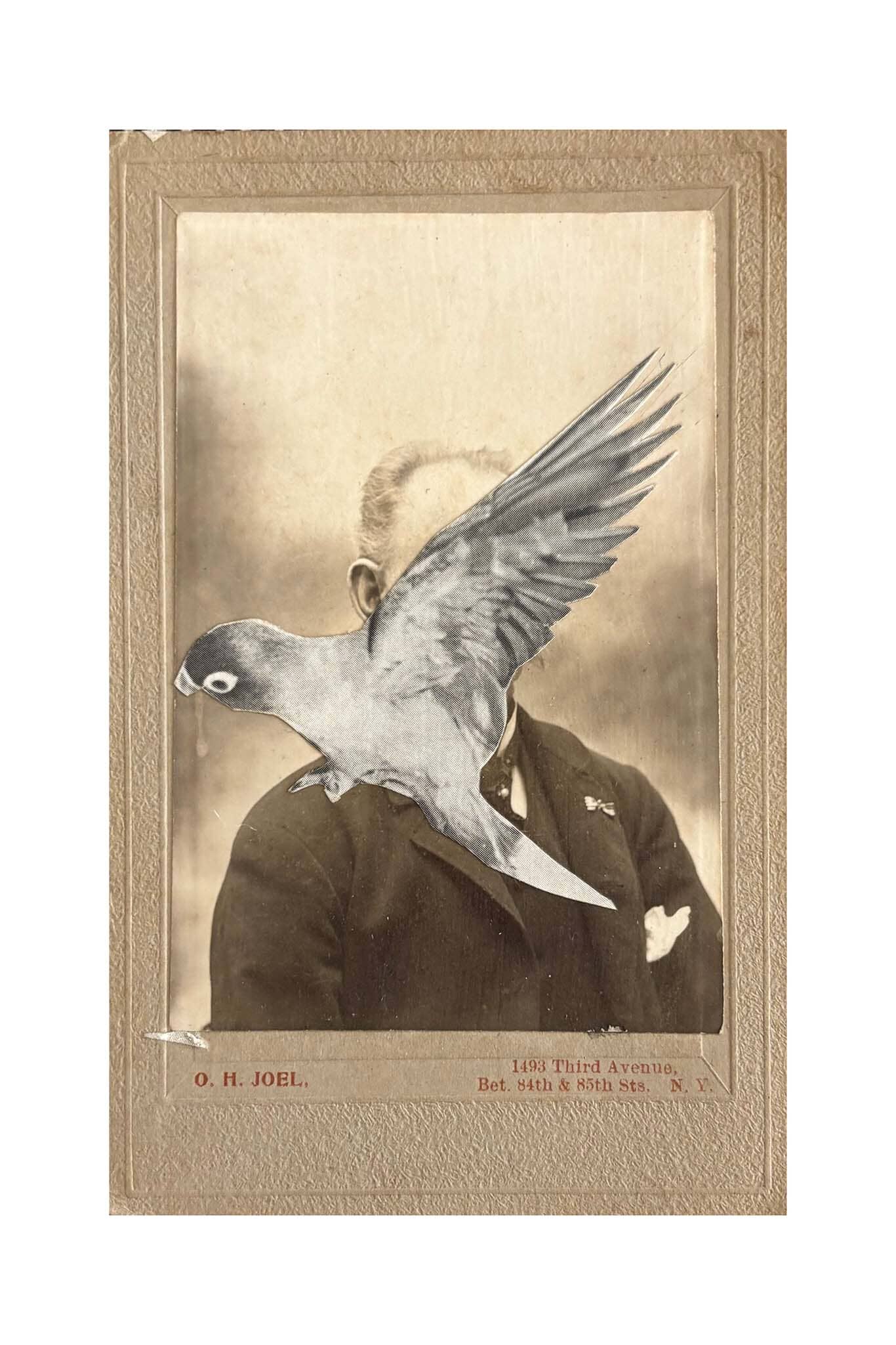 Vintage-style photo of a bird on a shoulder with a sepia tone