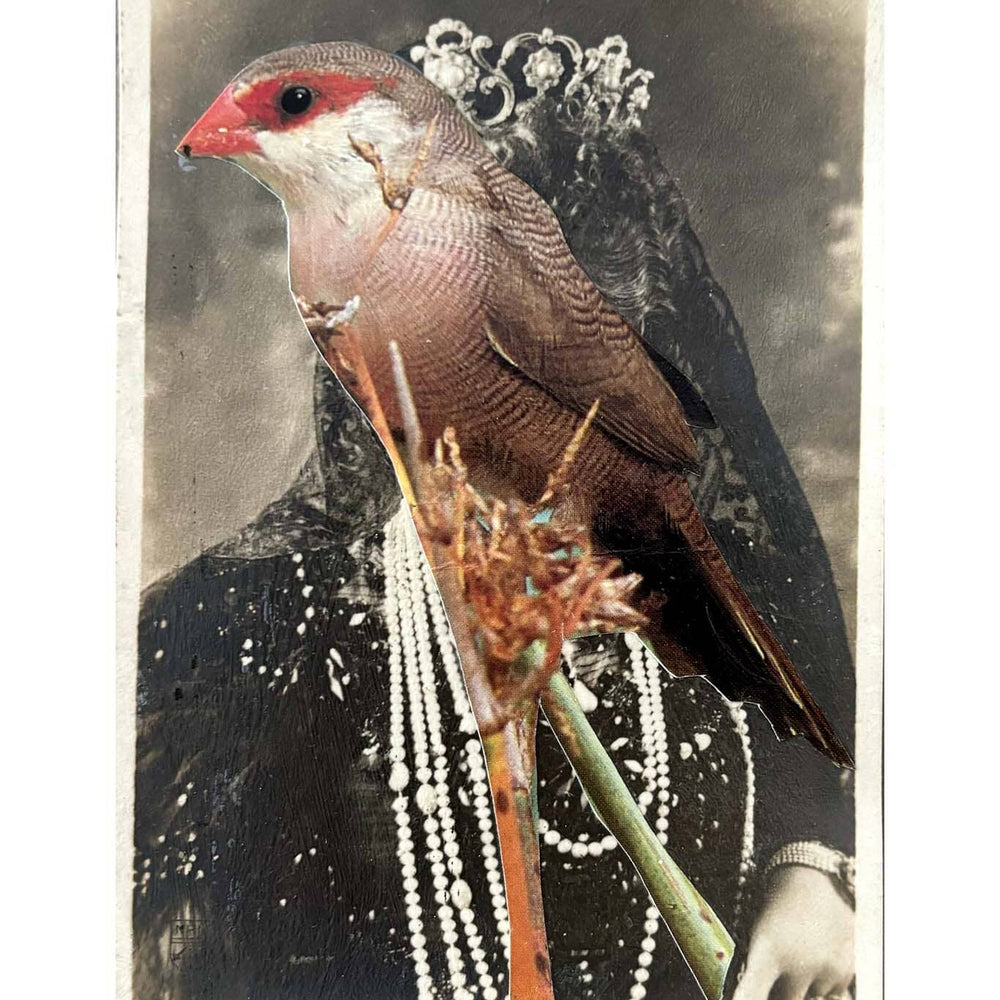 Vintage-style image of a bird with decorative elements on a white background