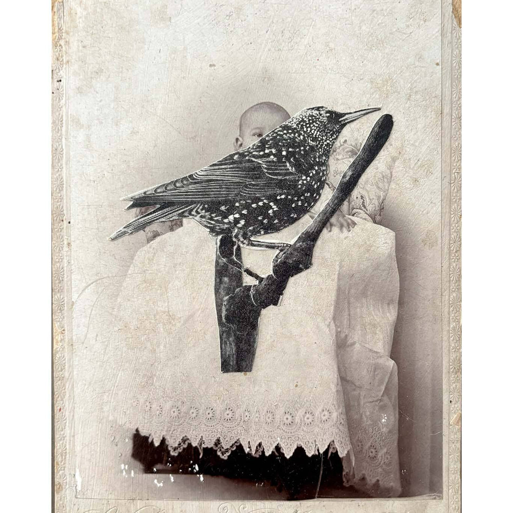Vintage-style photo of a person with a bird on their shoulder, on a textured white background.