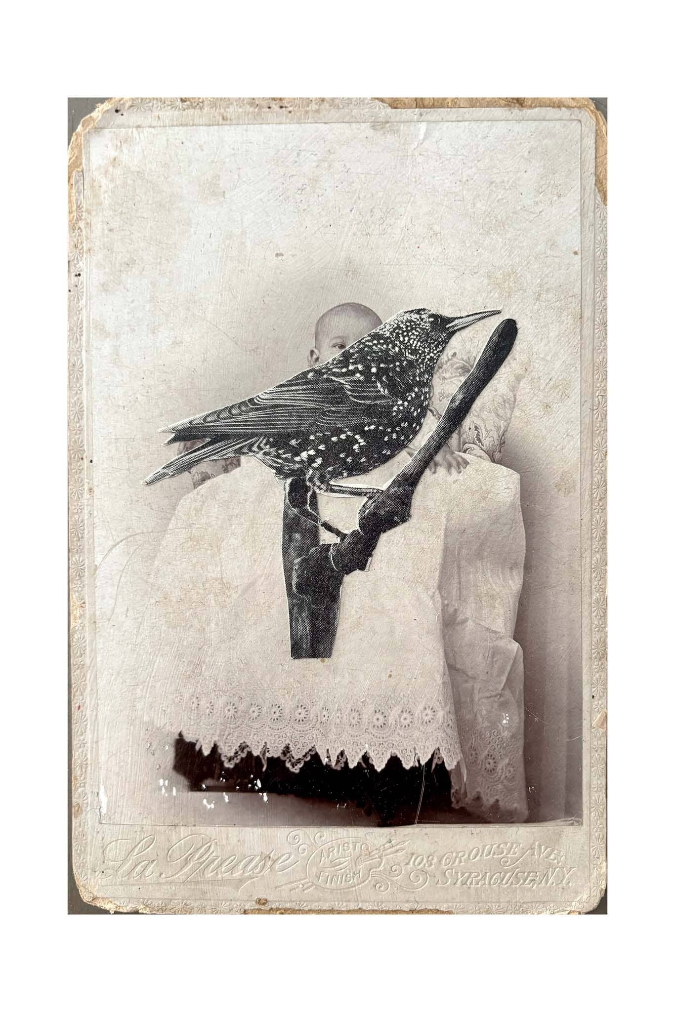 Vintage-style photo of a person with a bird on their shoulder, on a textured white background.