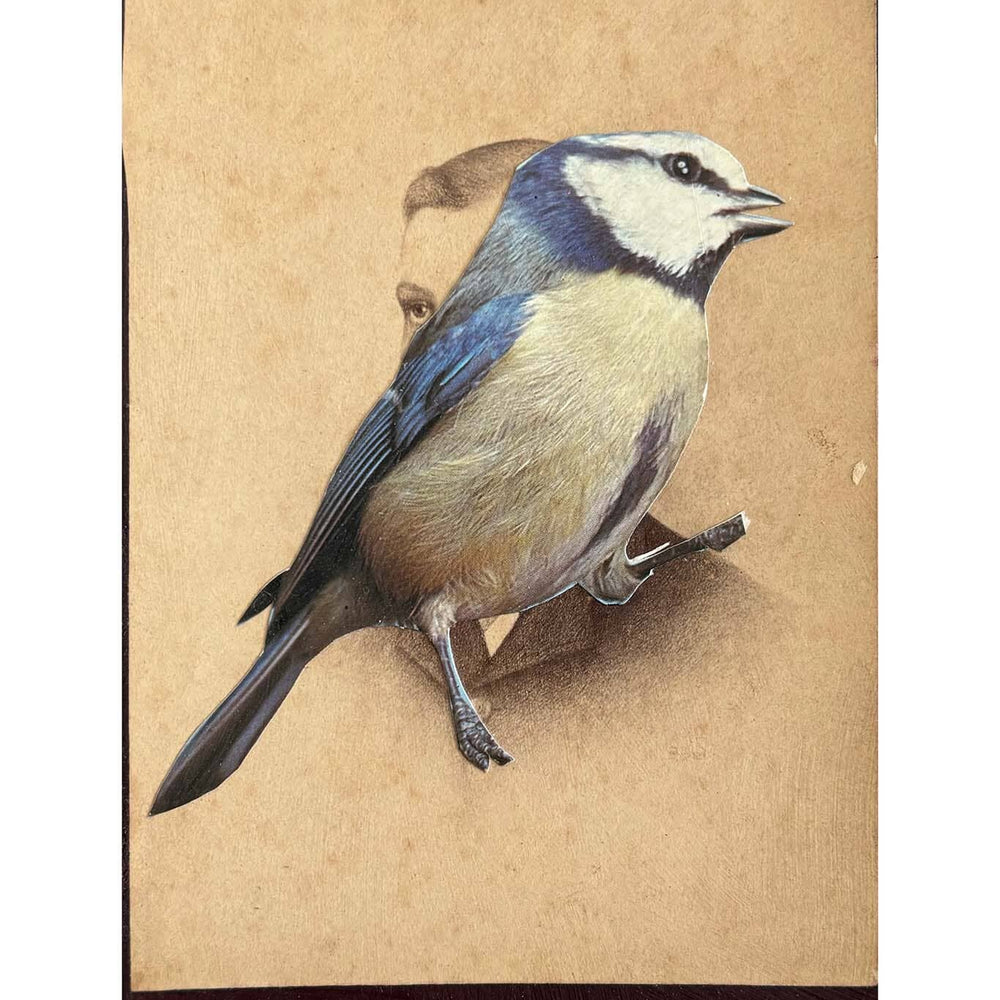 Artistic depiction of a bird on a textured beige background