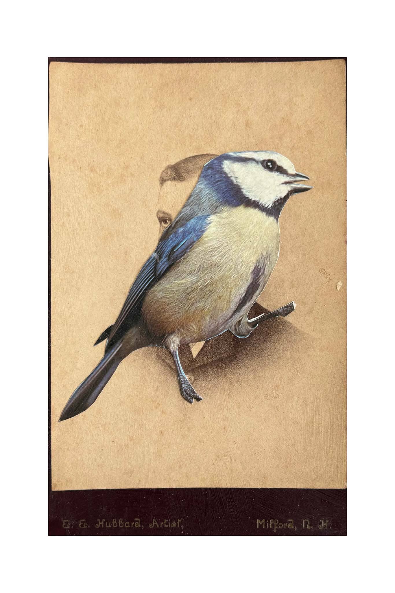 Artistic depiction of a bird on a textured beige background