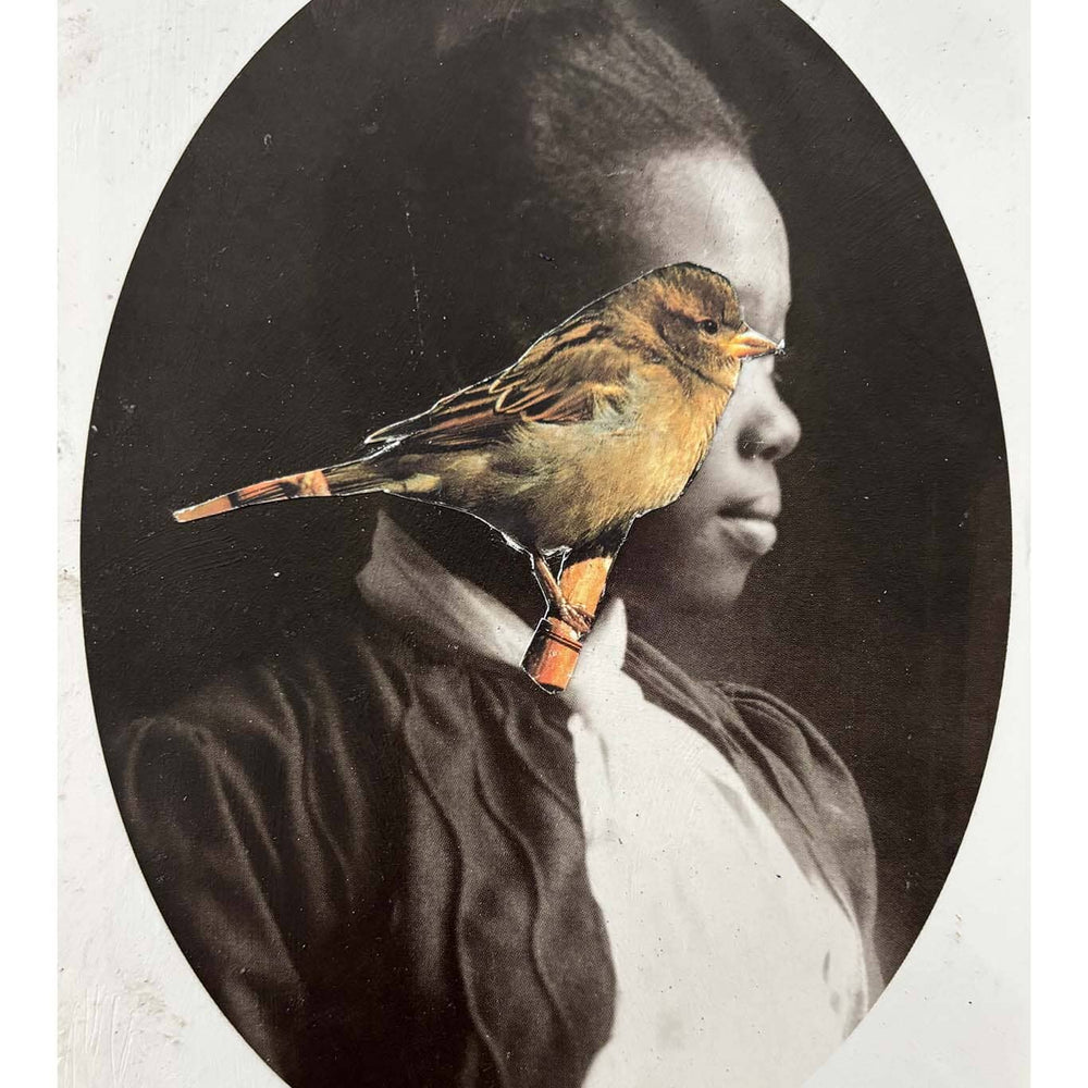 Collage of a person with a bird perched on their shoulder, set against a dark background.