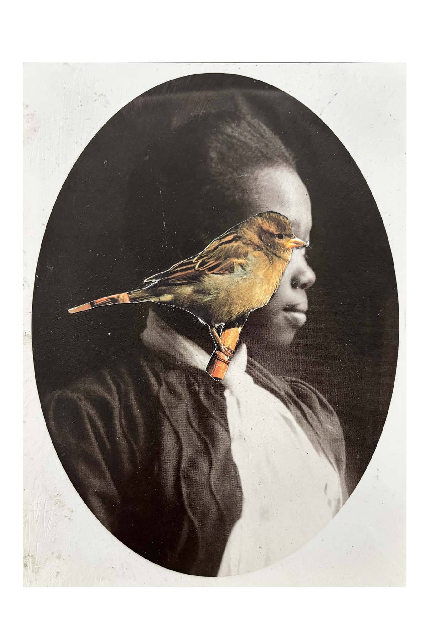 Collage of a person with a bird perched on their shoulder, set against a dark background.