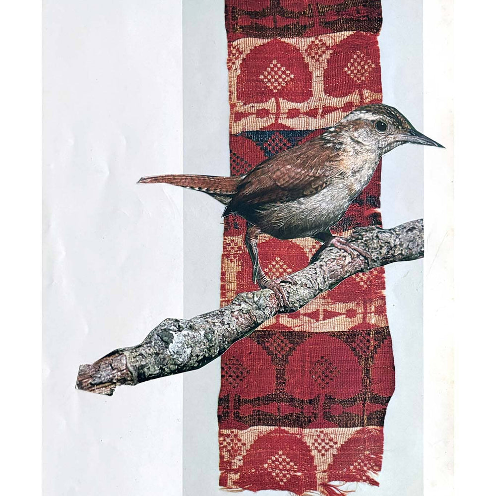 Bird perched on a branch with a red patterned fabric background