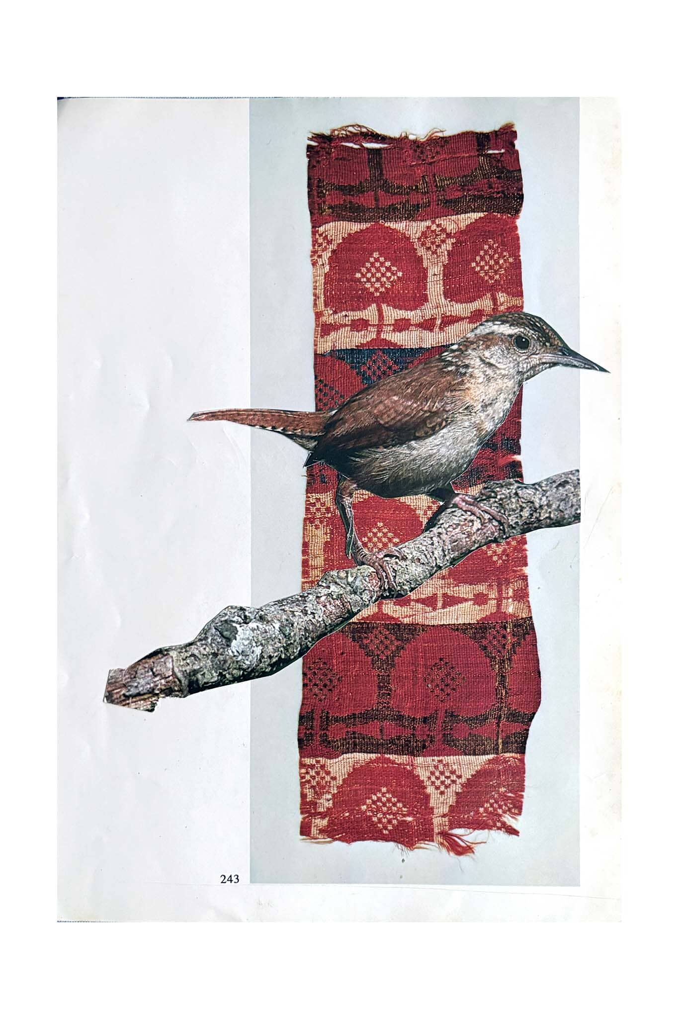 Bird perched on a branch with a red patterned fabric background