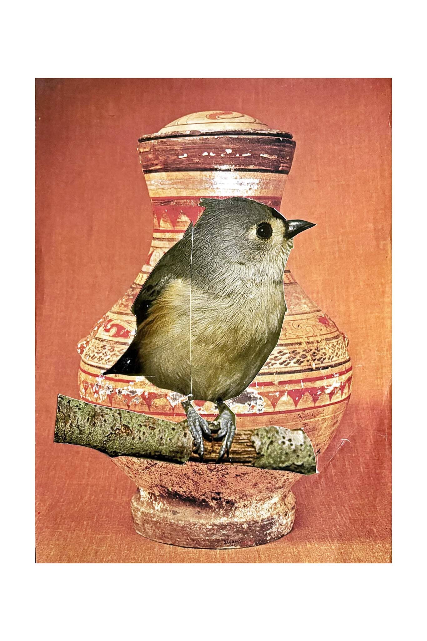 Bird perched on a branch in front of a decorative vase with a red-brown background