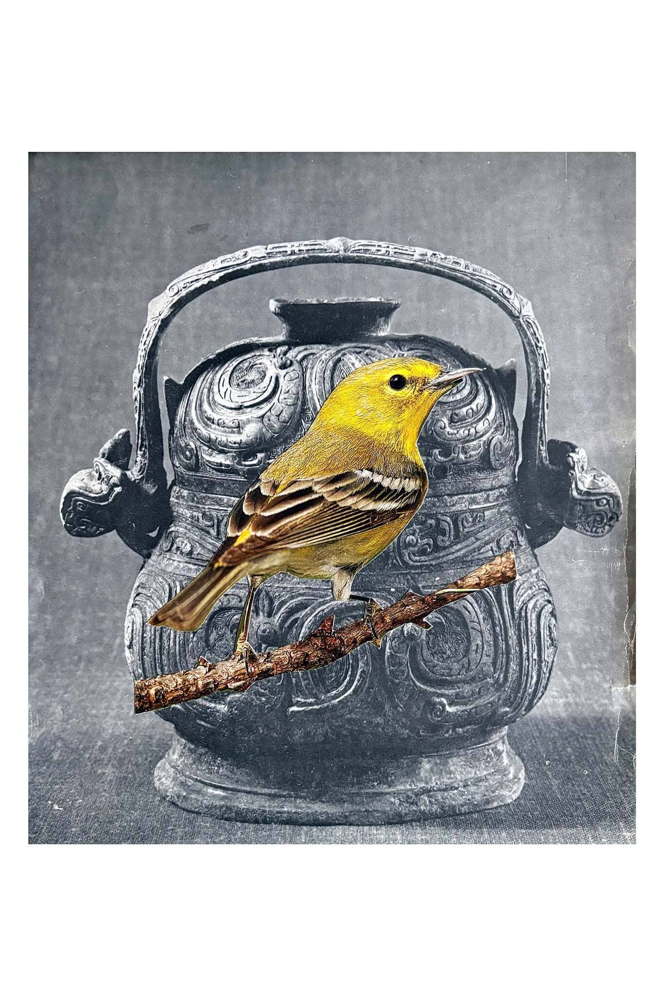 Yellow bird perched on a branch in front of an ornate silver vase on a gray background