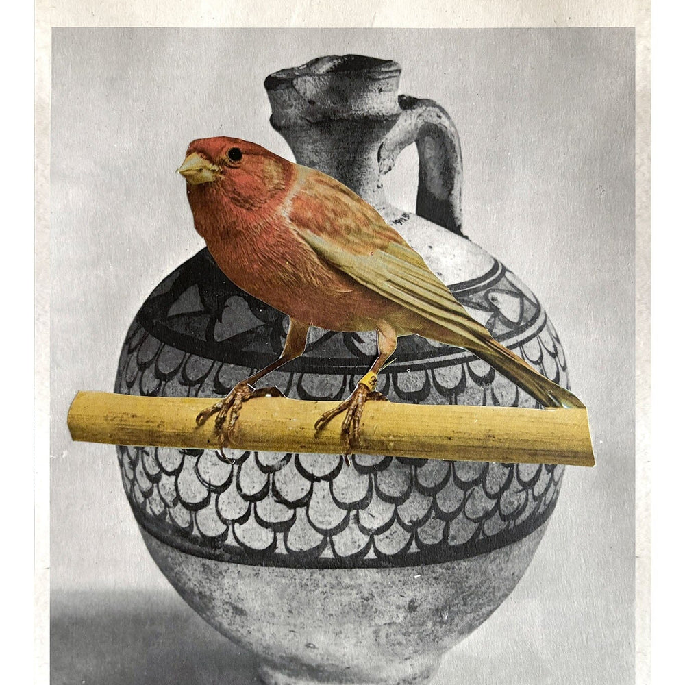 Bird perched on a branch with a black and white vase in the background