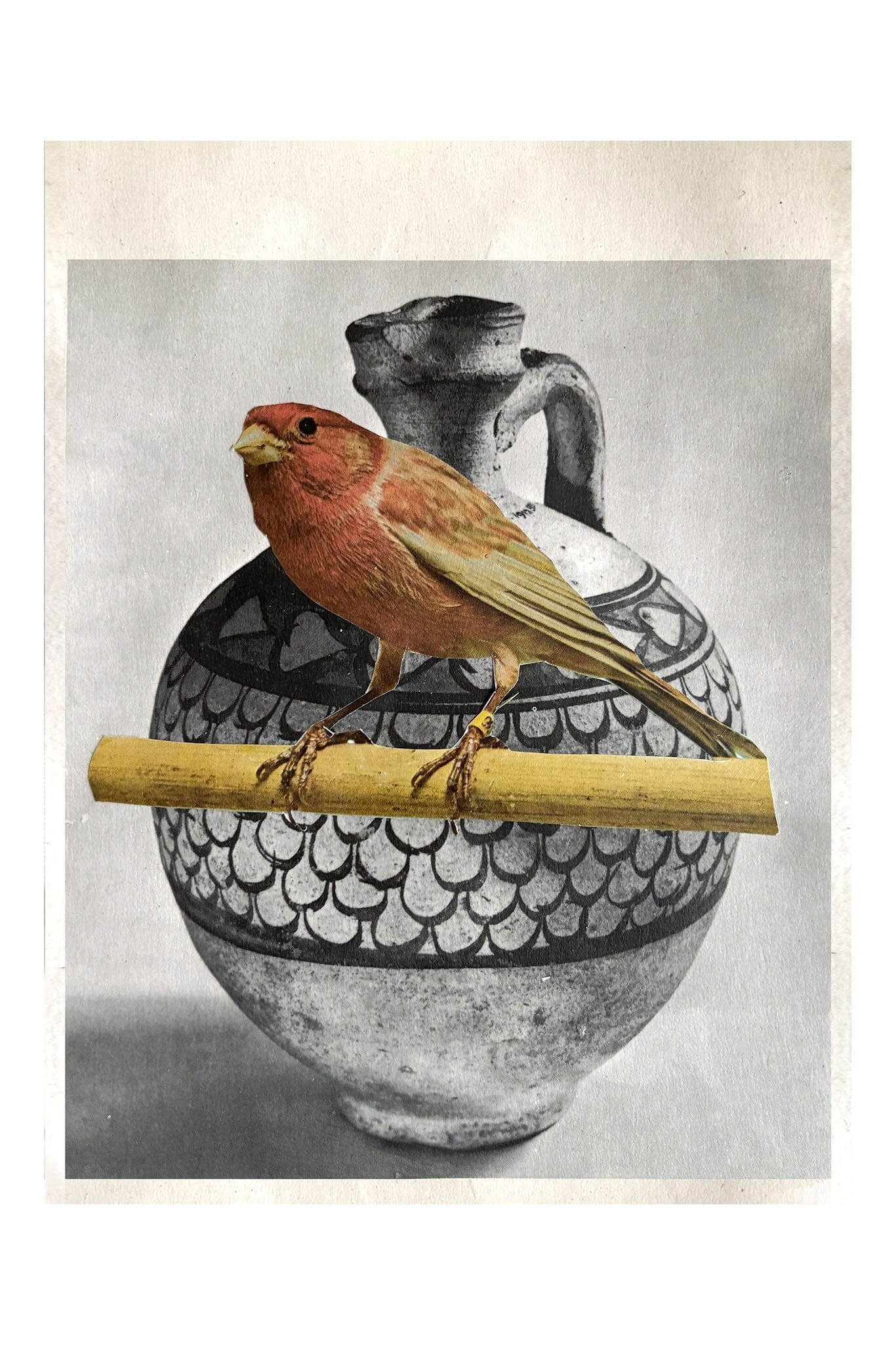 Bird perched on a branch with a black and white vase in the background