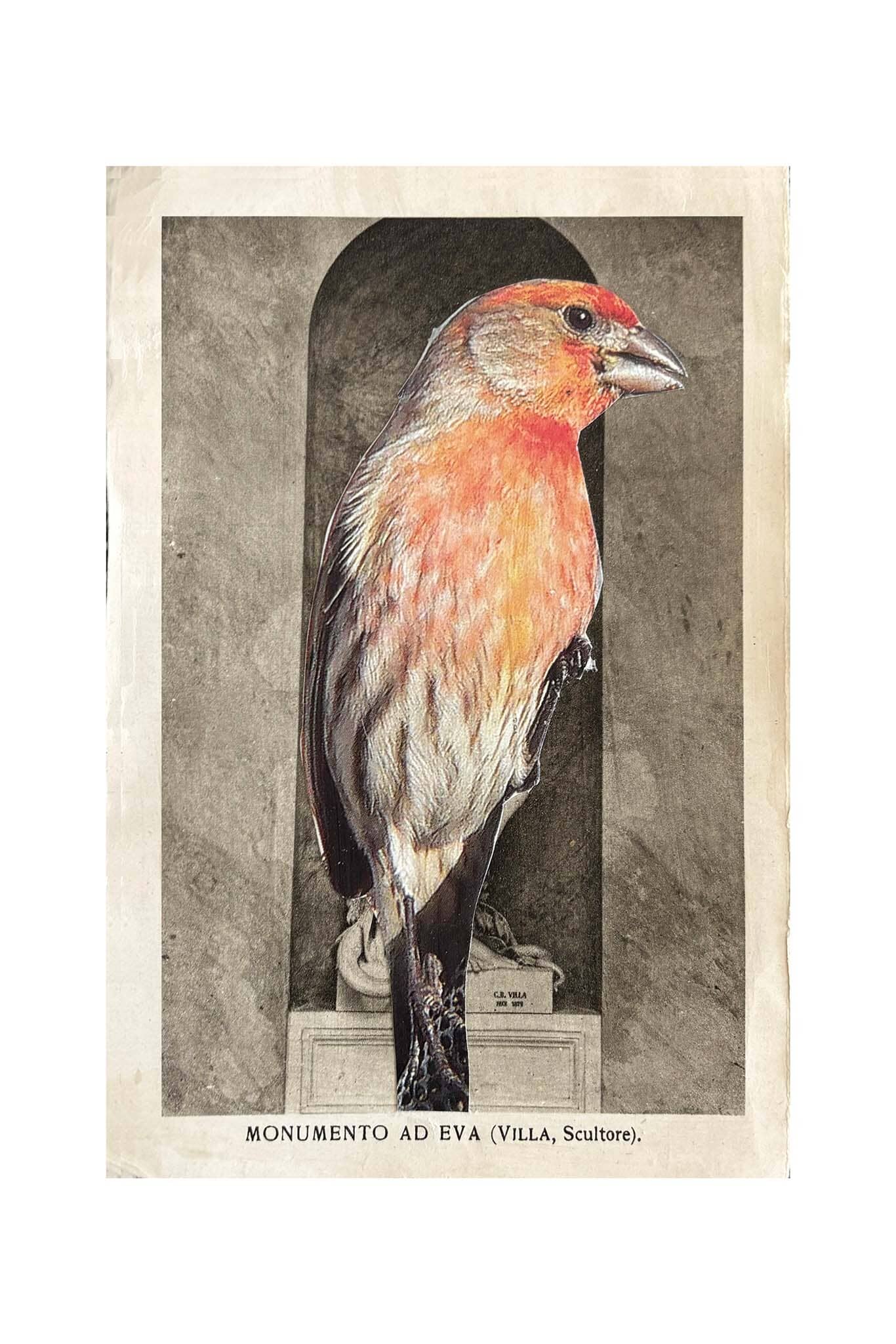 Illustration of a bird with a decorative frame on a textured background