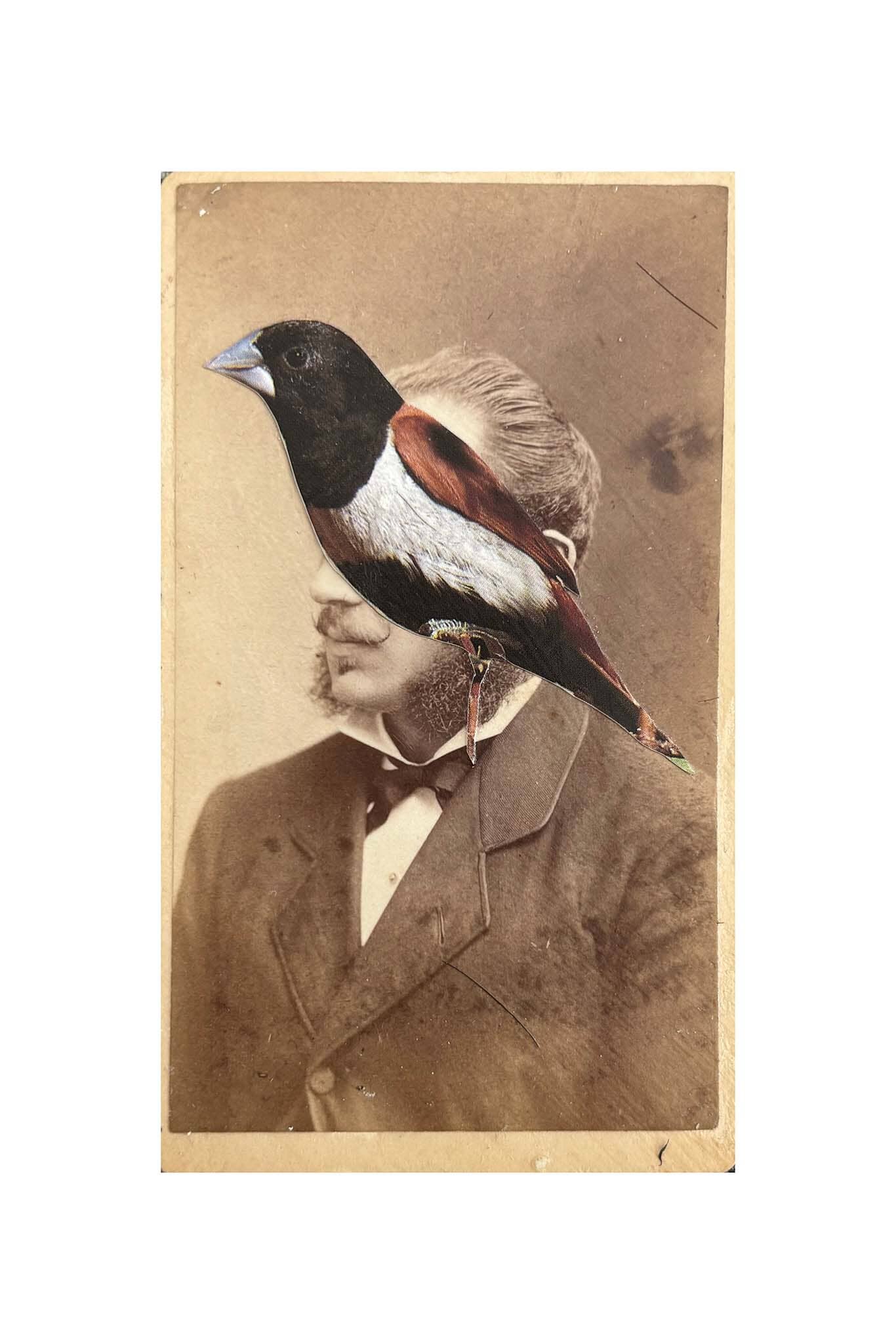 Vintage-style portrait with a bird perched on a man's shoulder