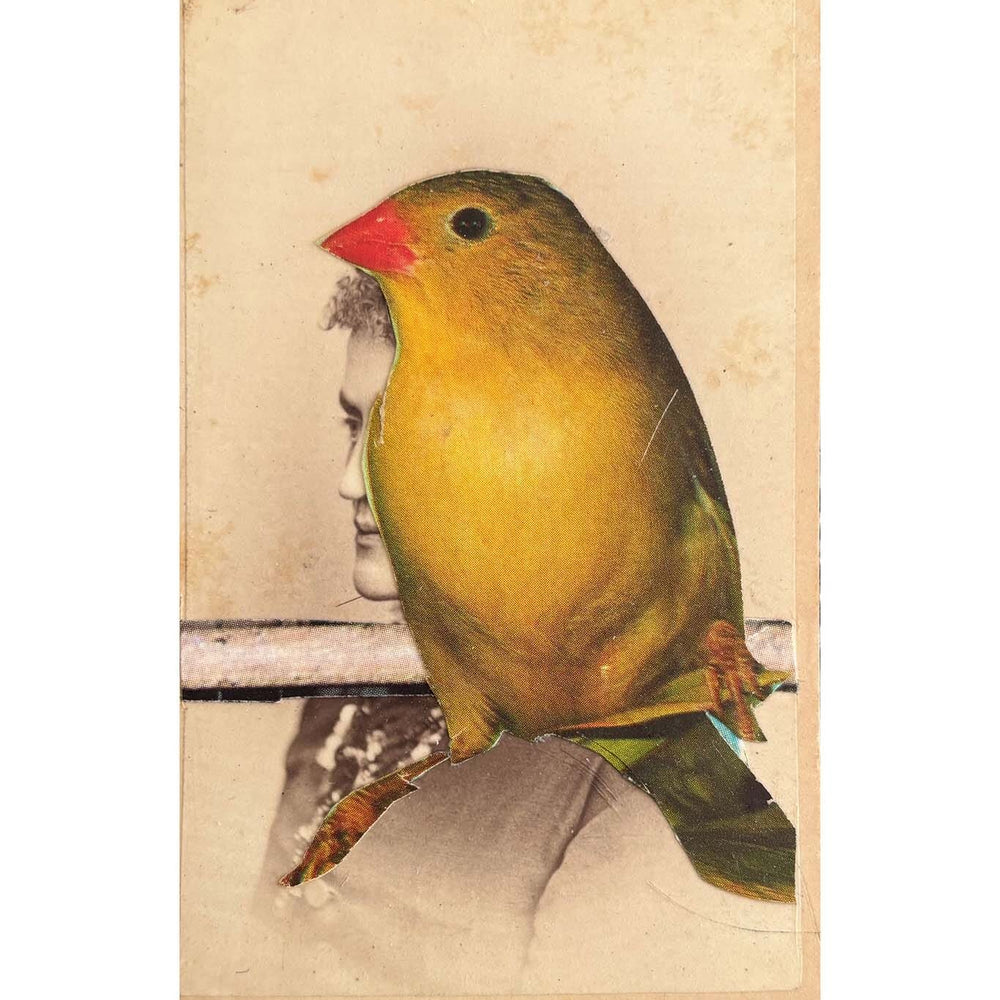 Yellow bird with a red beak on a textured beige background