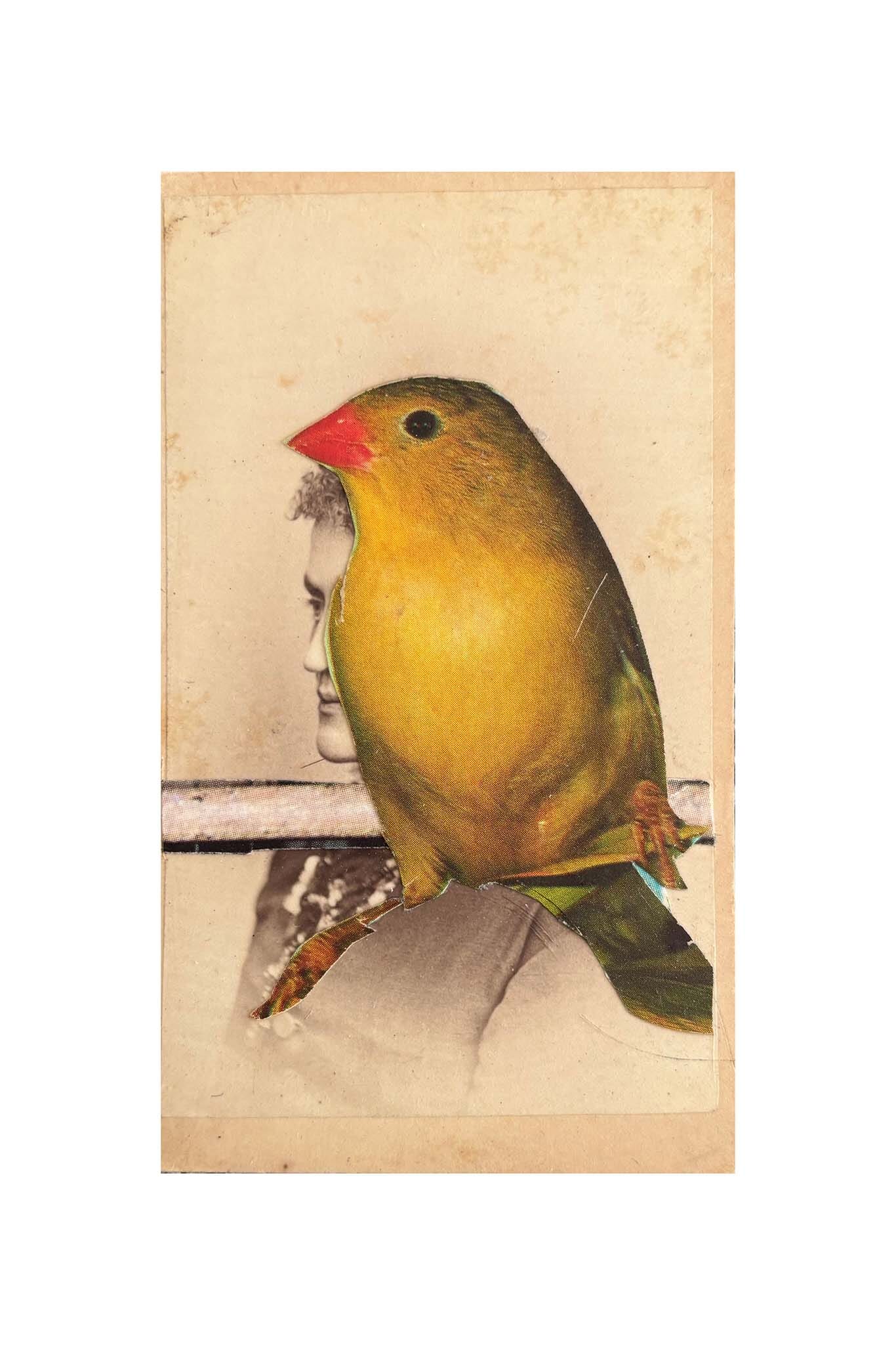 Yellow bird with a red beak on a textured beige background