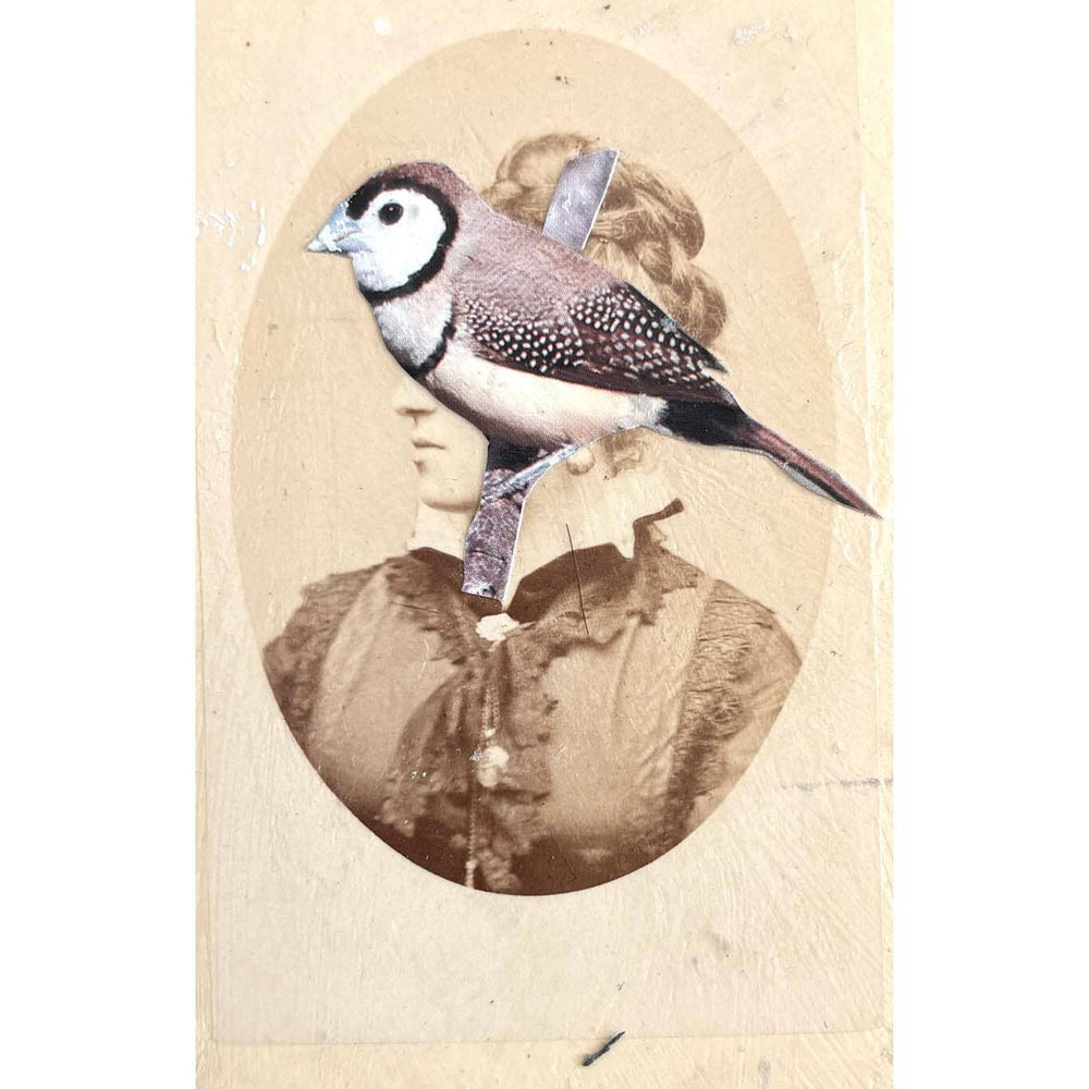 Vintage-style illustration of a bird perched on a hat with a sepia-toned portrait in the background.