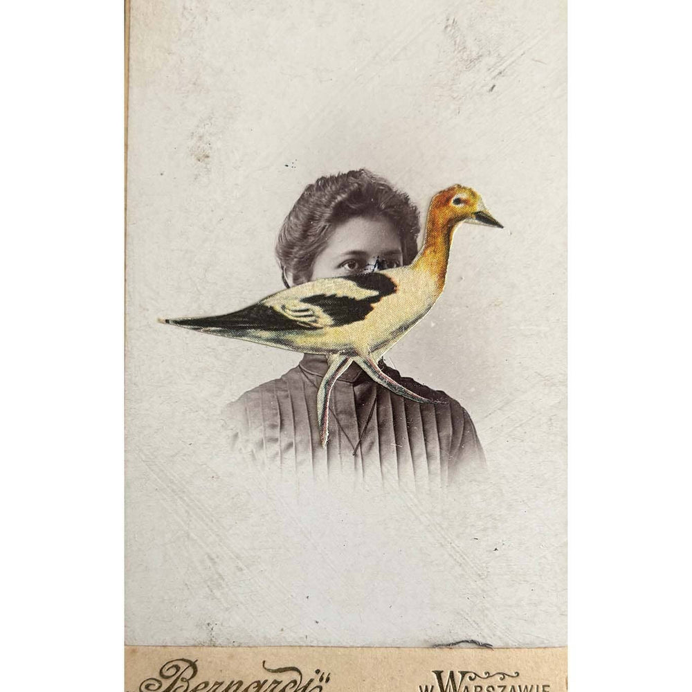 Vintage-style illustration with a bird perched on a shoulder, resembling a portrait, on a textured beige background.