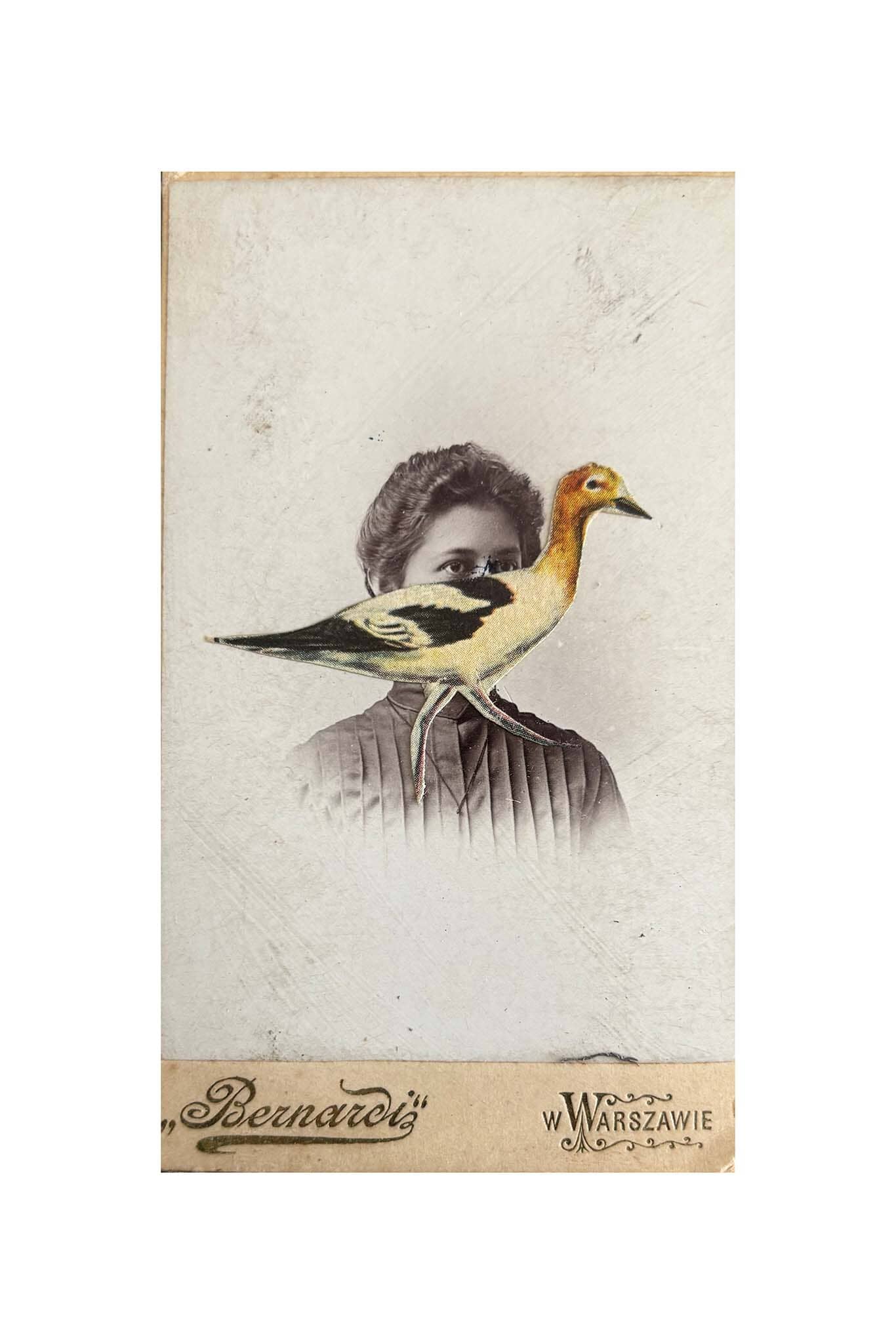 Vintage-style illustration with a bird perched on a shoulder, resembling a portrait, on a textured beige background.