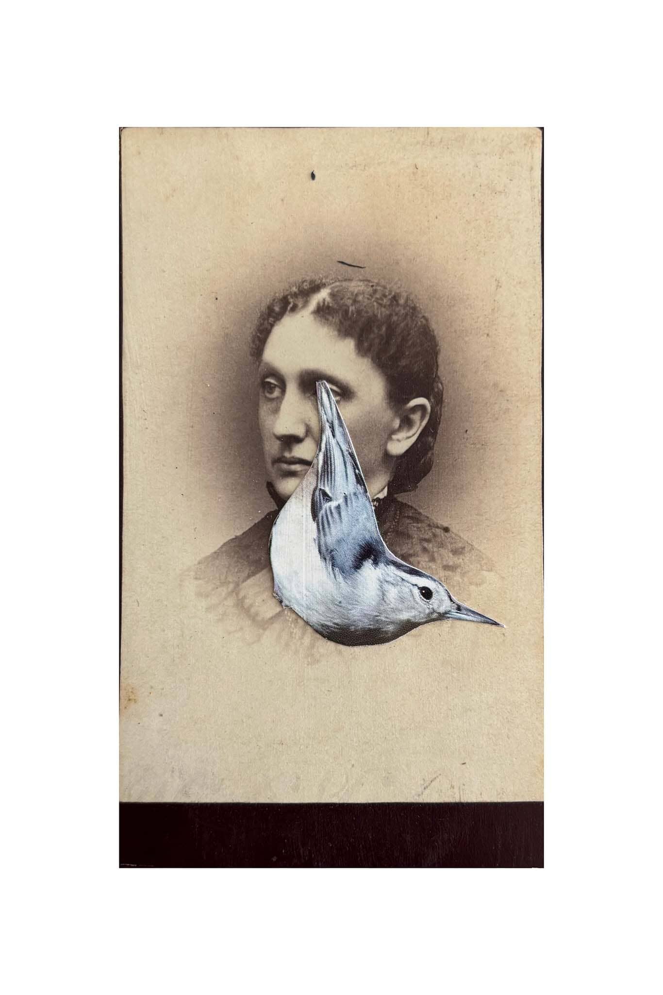 Vintage-style portrait with a bird superimposed on a person's face