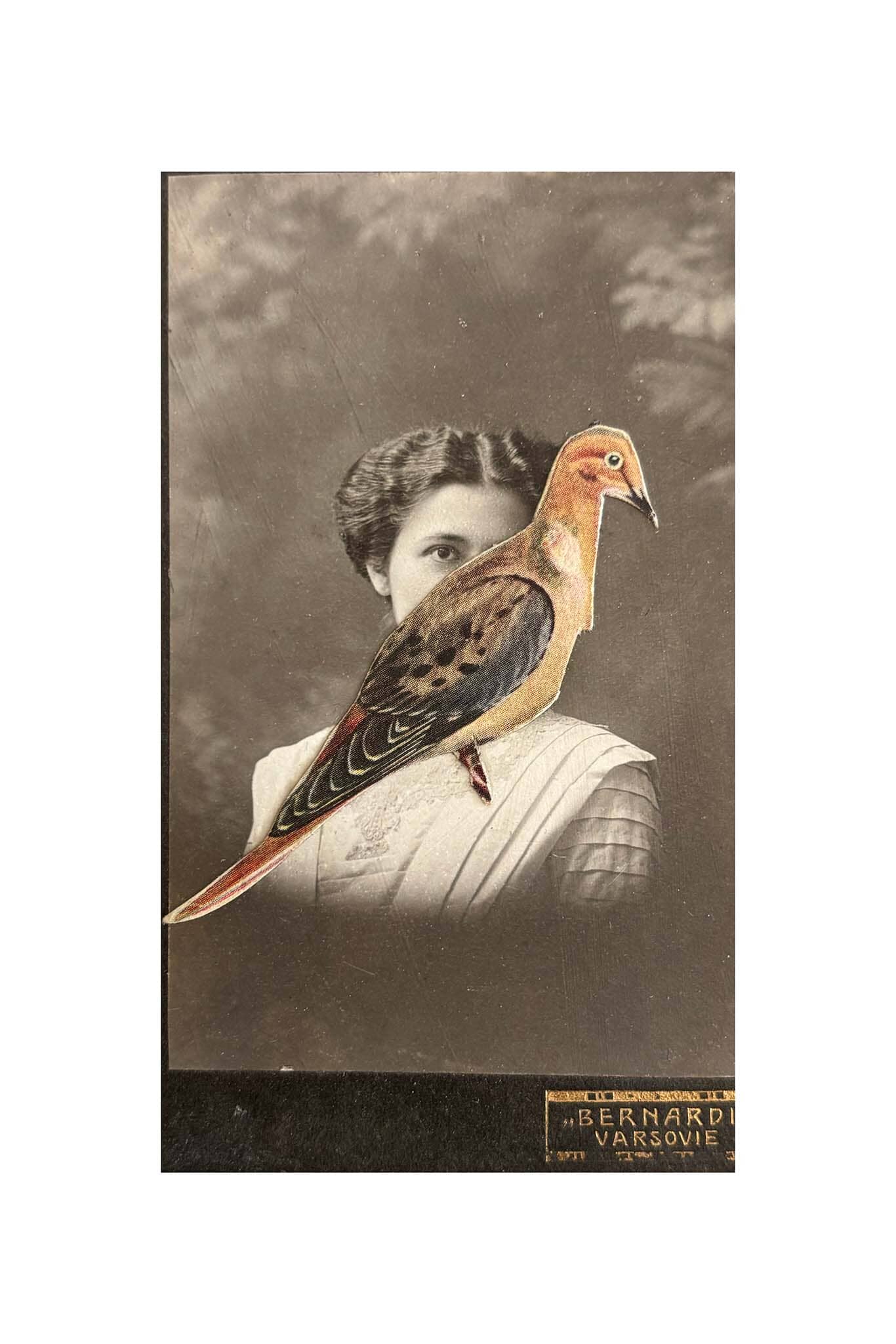 Vintage-style portrait with a bird superimposed over a woman's face, featuring a sepia tone.