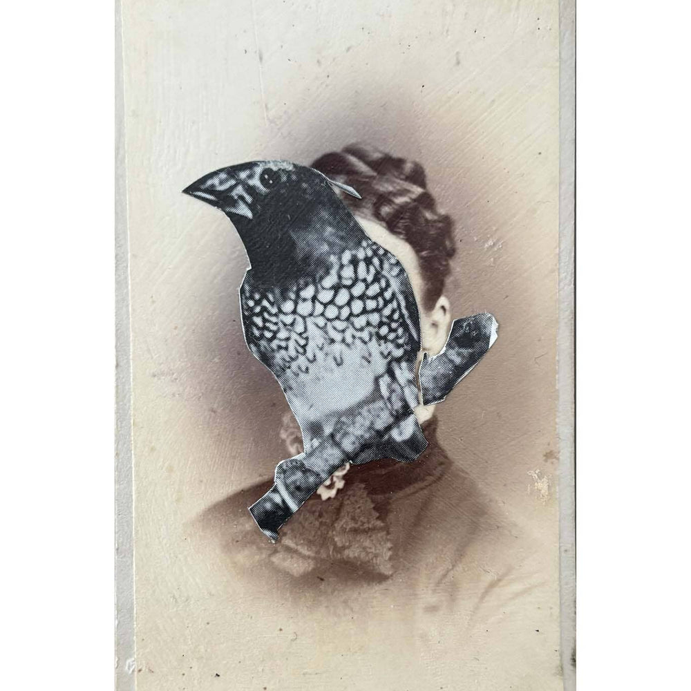 Framed artwork of a bird perched on a branch with a textured beige background