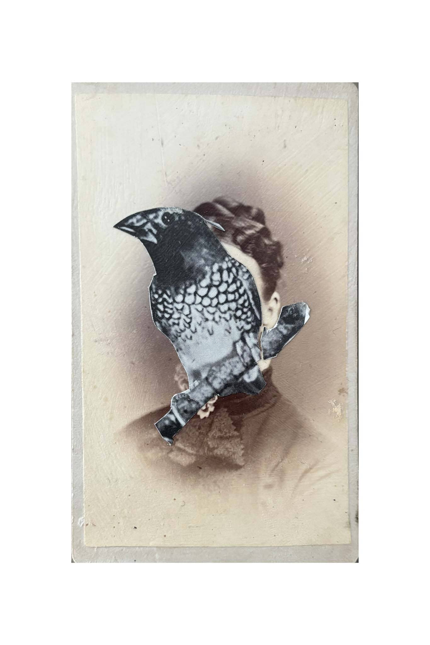 Framed artwork of a bird perched on a branch with a textured beige background