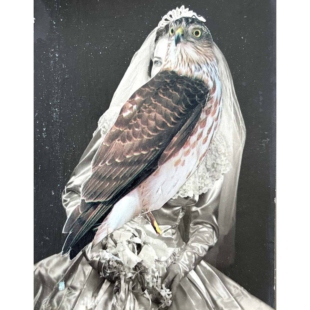 Hawk perched on a decorative stand with a black background