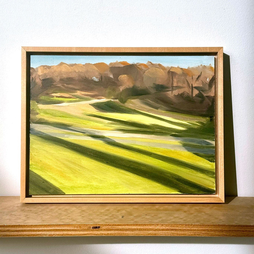 Framed painting of a landscape with green fields and brown hills on a wooden shelf.
