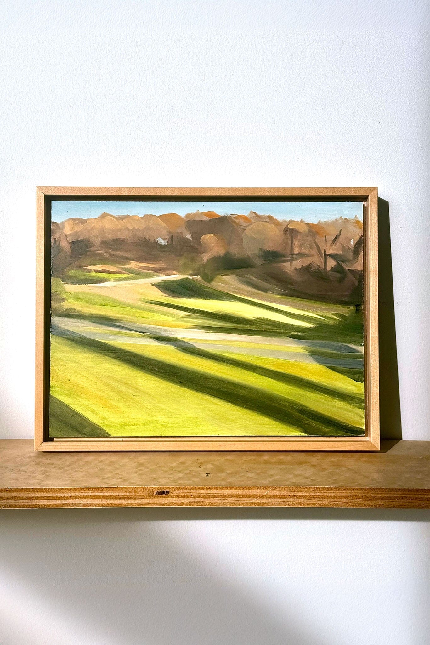 Framed painting of a landscape with green fields and brown hills on a wooden shelf.