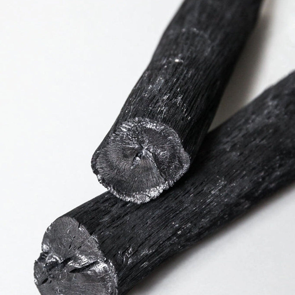 Two pieces of charcoal on a white background