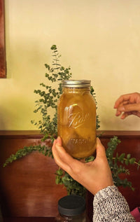 Jun Fermentation Workshop