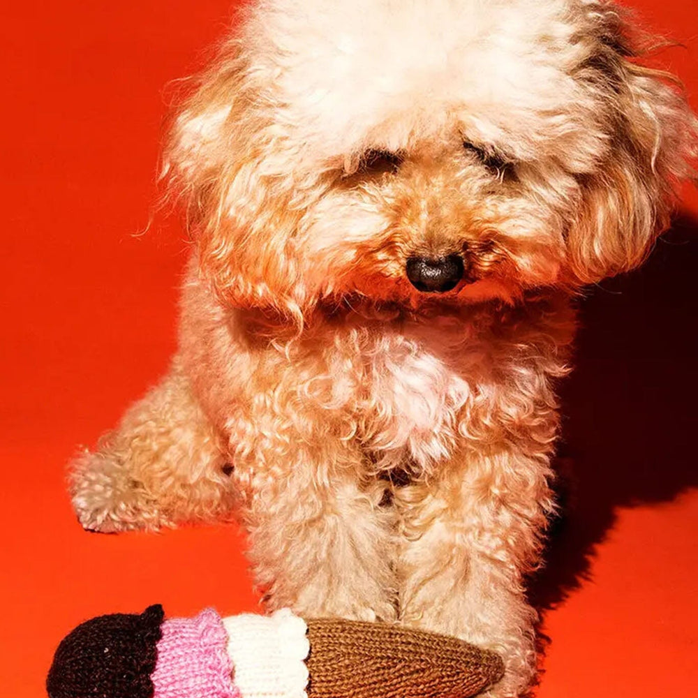 Small dog sitting with a knitted ice cream cone toy on a red background