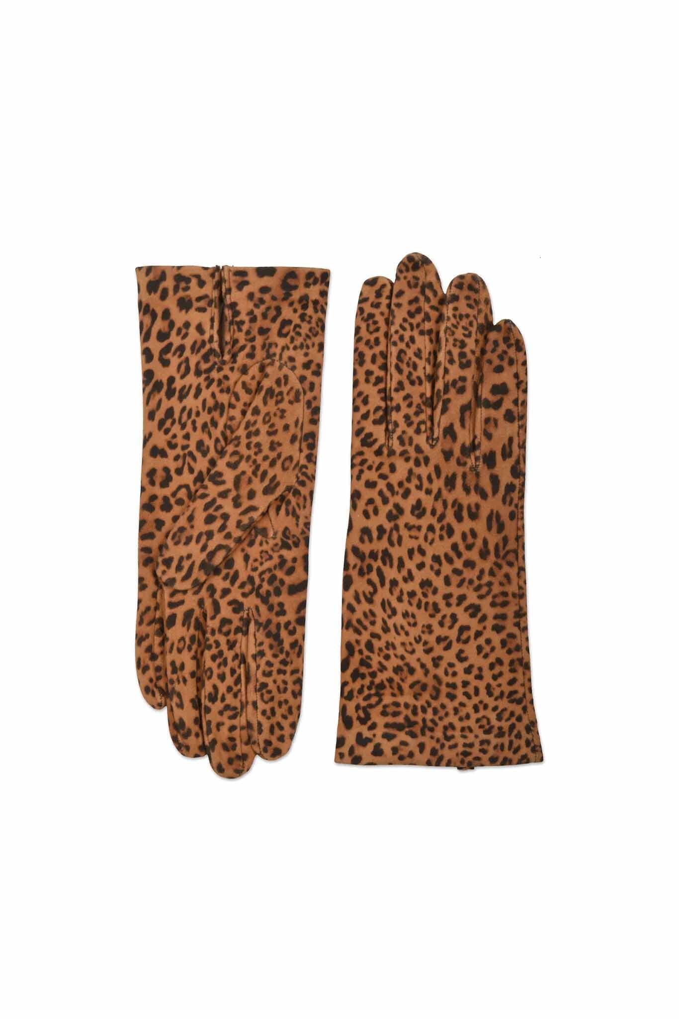 Amato Suede Glove - Leopardo