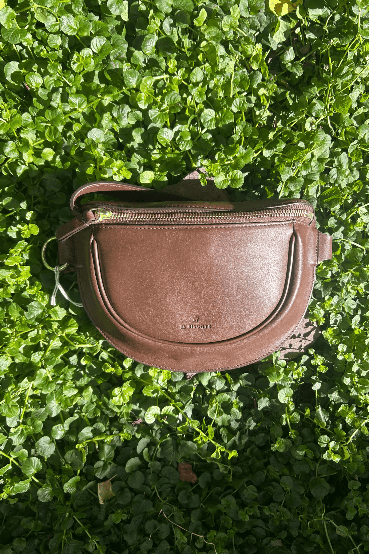 A brown leather fanny pack with a gold zipper, laid flat on a dense background of green clover.