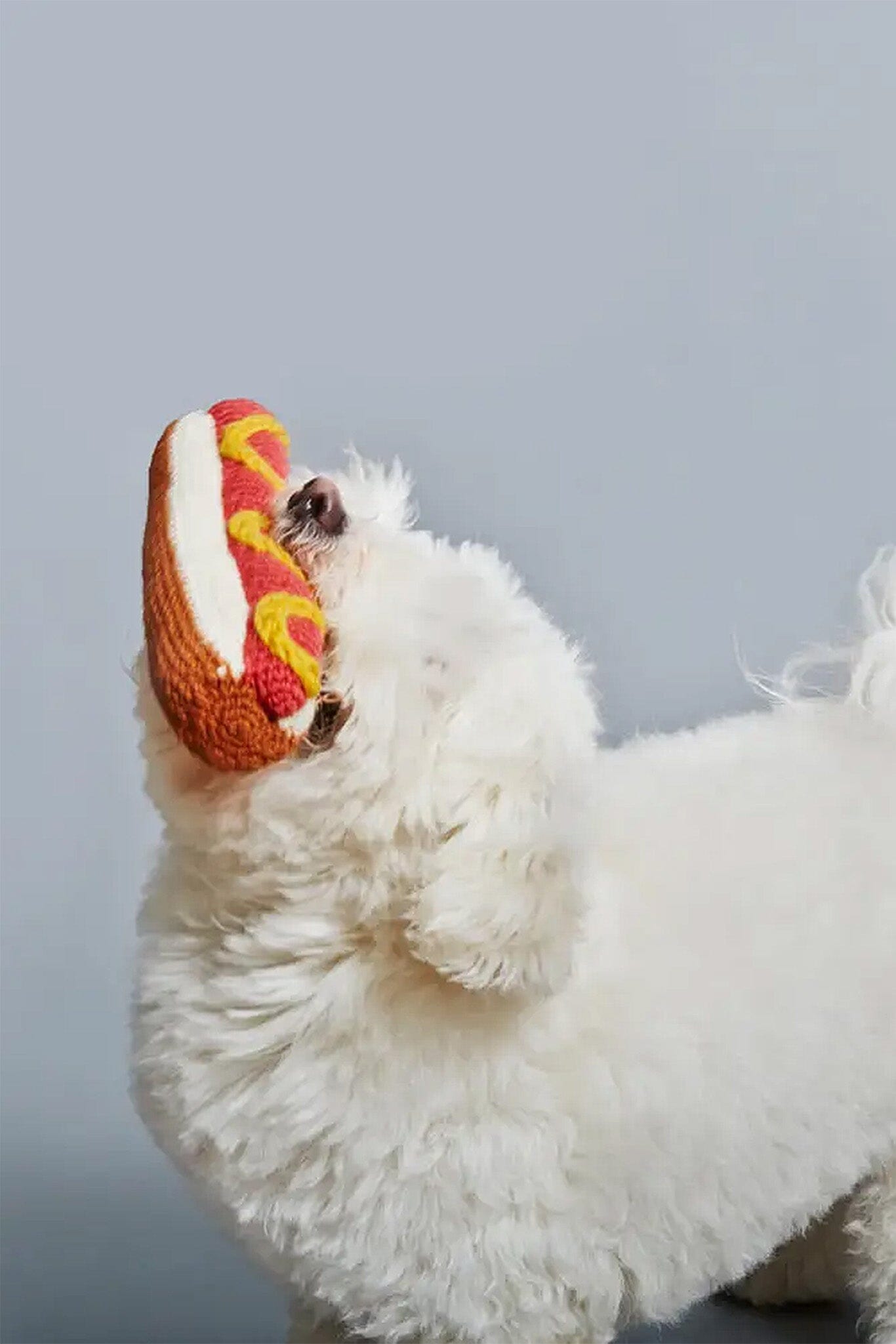 White dog playing with a hot dog-shaped toy against a light blue background