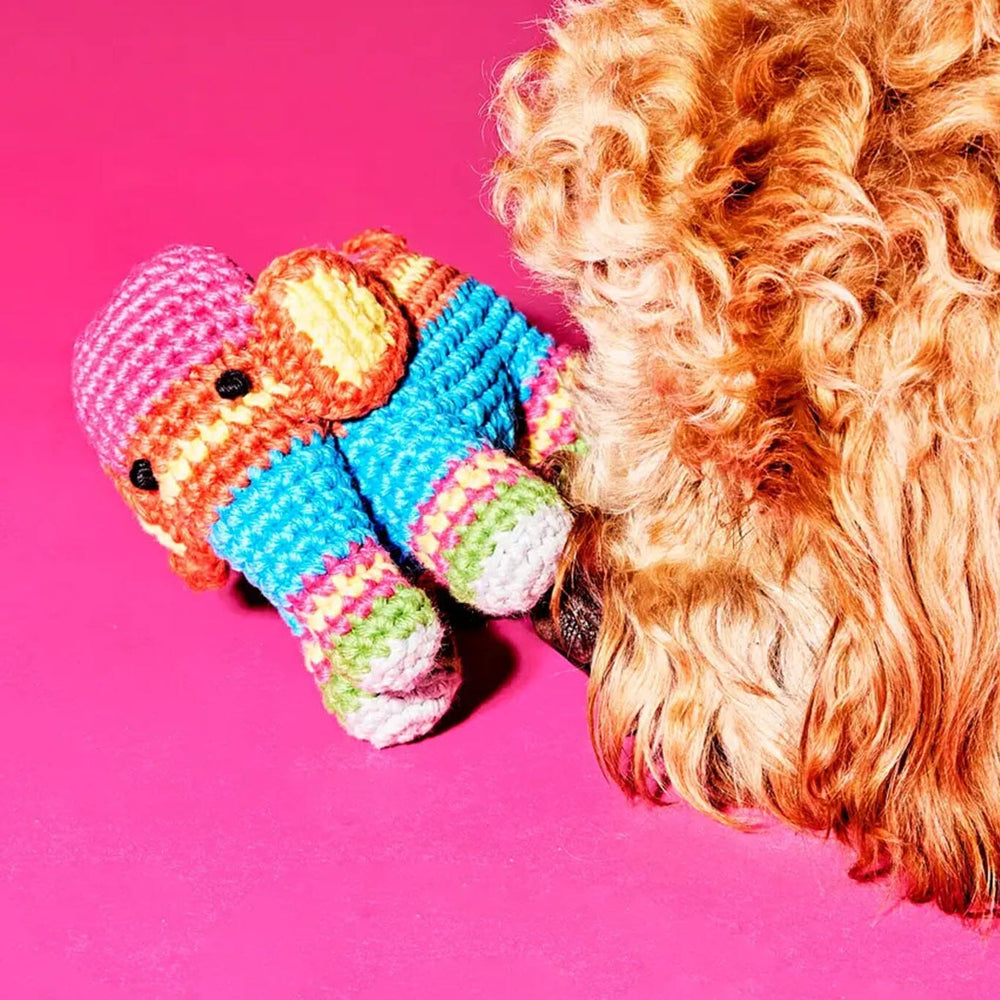 Dog playing with a colorful knitted elephant toy on a pink background