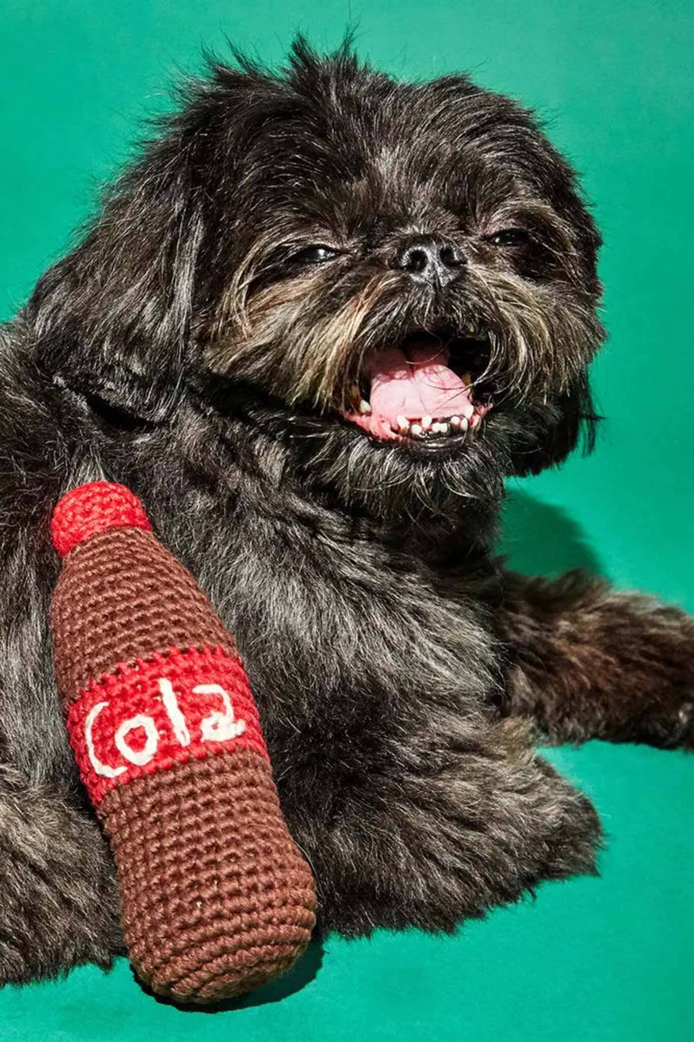 Dog holding a crocheted Coca-Cola bottle toy against a green background