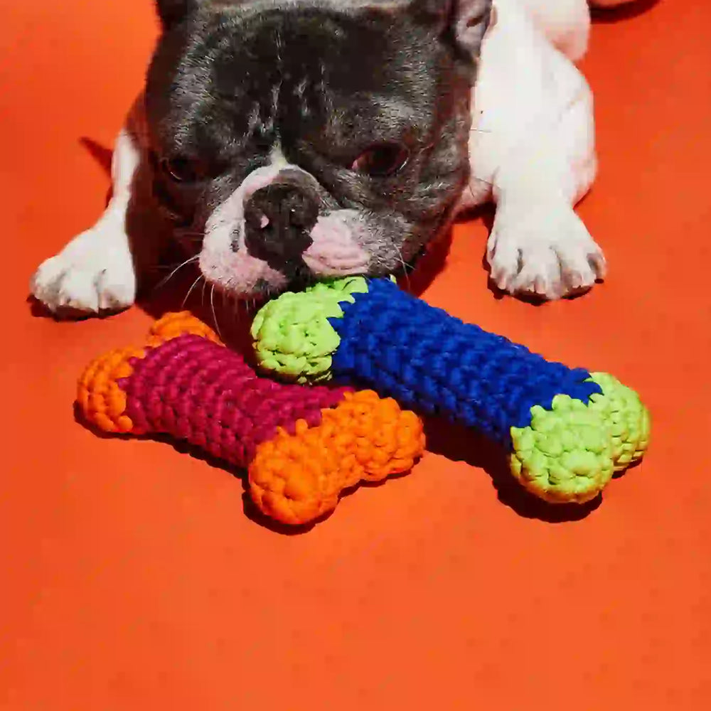A pug playing with handmade crocheted dog toys.