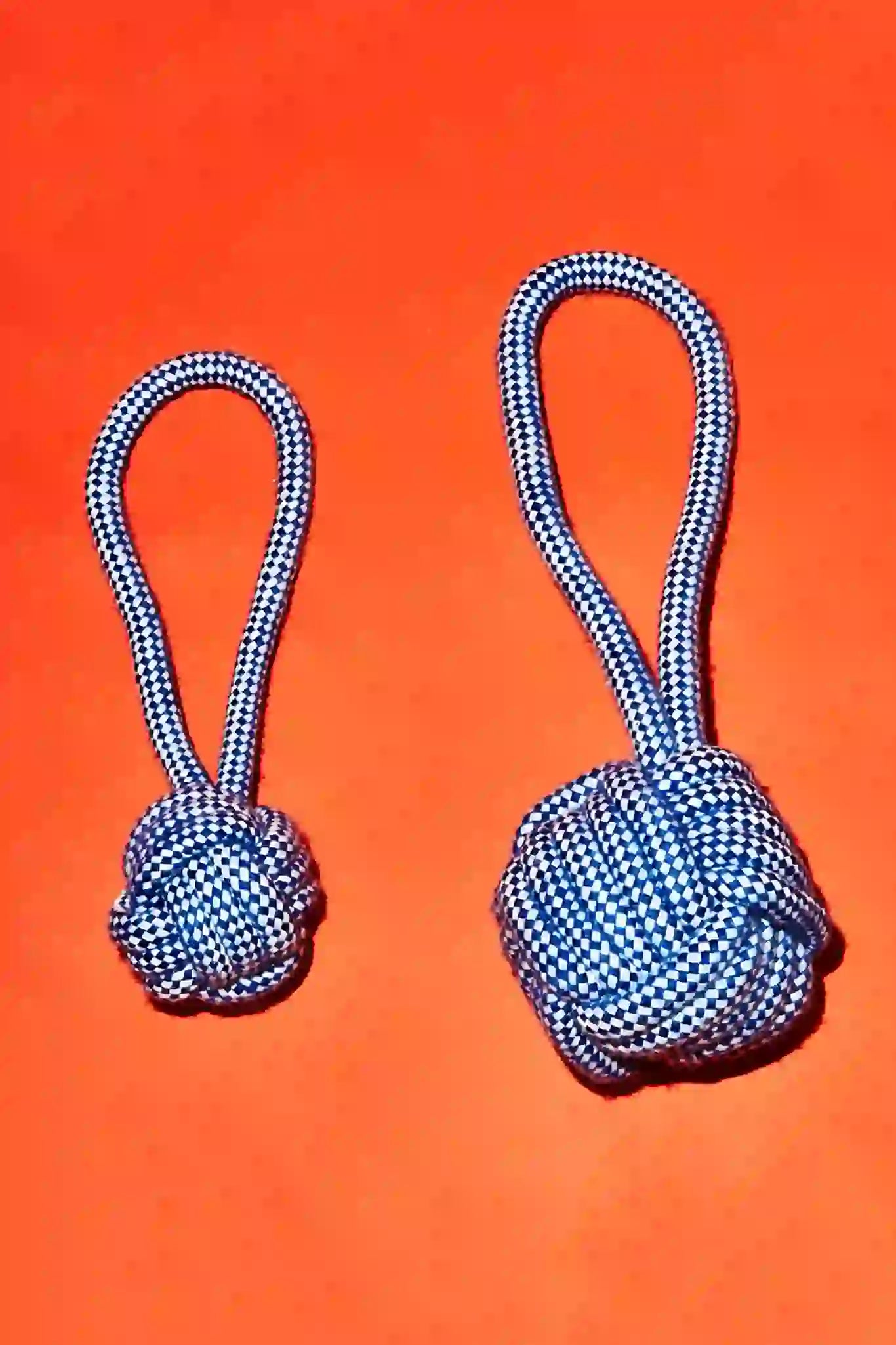 Ware of the Dog Rope Knot Toy - Blue/White